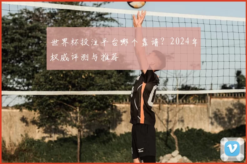 世界杯投注平台哪个靠谱?2024年权威评测与推荐