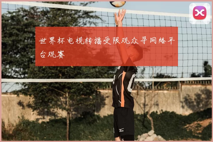 世界杯电视转播受限观众寻网络平台观赛