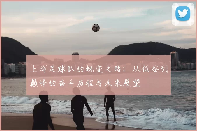 上海足球队的蜕变之路：从低谷到巅峰的奋斗历程与未来展望
