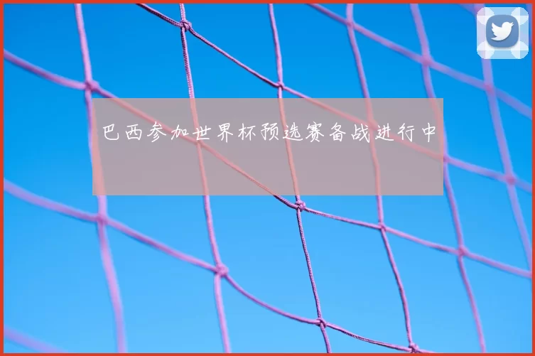 巴西参加世界杯预选赛备战进行中