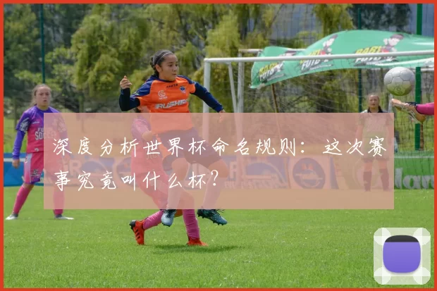 深度分析世界杯命名规则:这次赛事究竟叫什么杯?