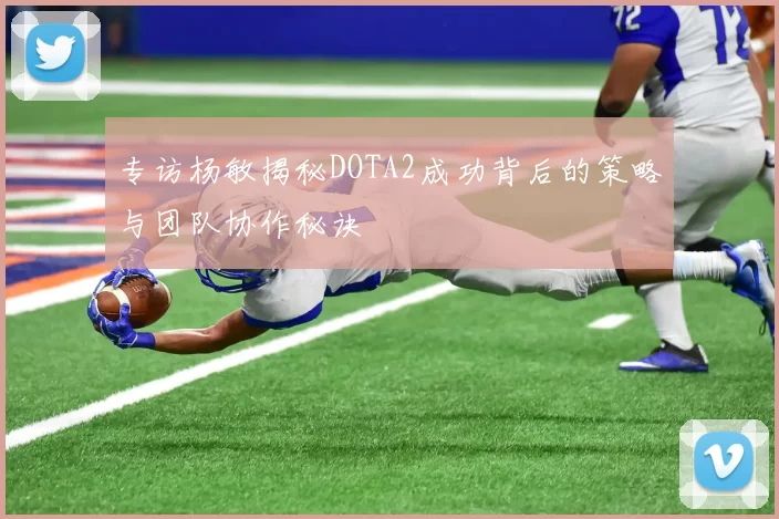 专访杨敏揭秘DOTA2成功背后的策略与团队协作秘诀