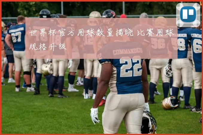 世界杯官方用球数量揭晓 比赛用球规格升级