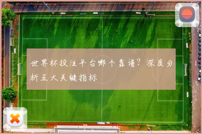 世界杯投注平台哪个靠谱?深度分析五大关键指标