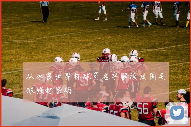 从冰岛世界杯球员名字解读该国足球崛起密码