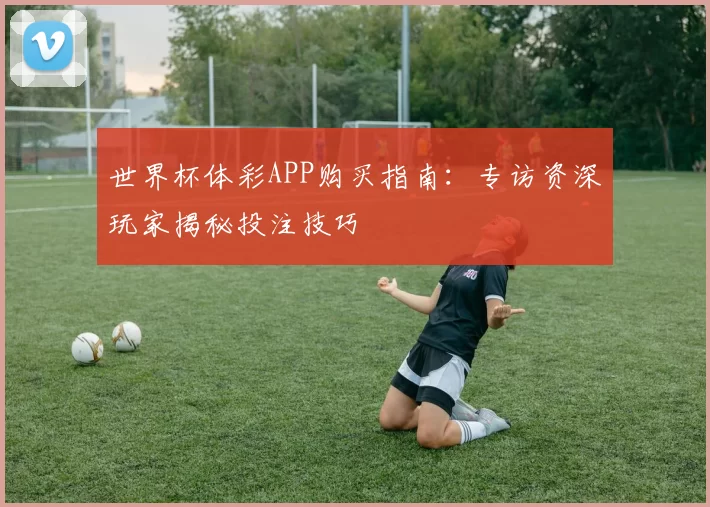 世界杯体彩APP购买指南：专访资深玩家揭秘投注技巧