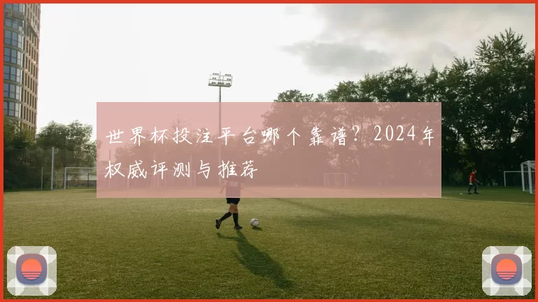 世界杯投注平台哪个靠谱?2024年权威评测与推荐