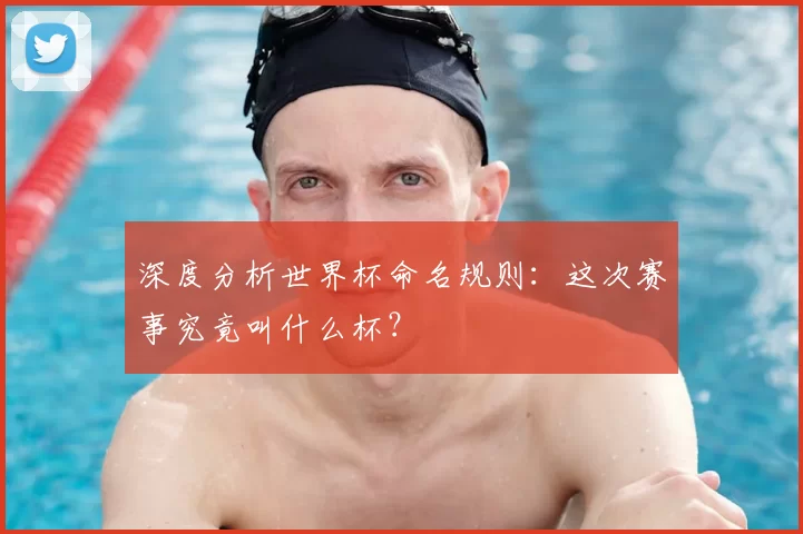深度分析世界杯命名规则：这次赛事究竟叫什么杯？