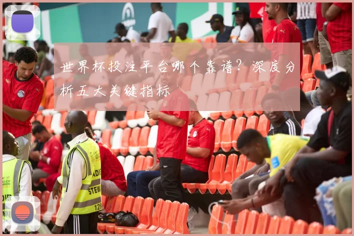 世界杯投注平台哪个靠谱?深度分析五大关键指标