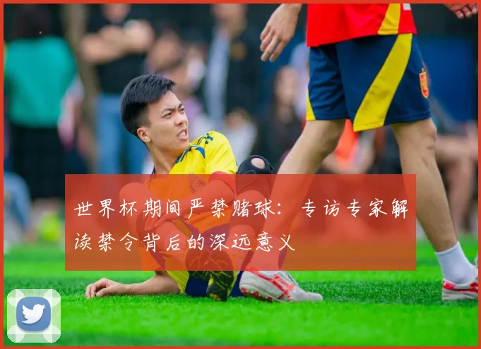 世界杯期间严禁赌球：专访专家解读禁令背后的深远意义